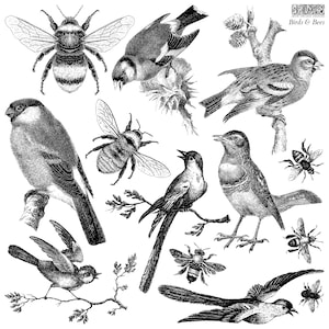 送料無料 - Birds & Bees 12x12インチ デコレーションスタンプ、Iron Orchid Designs (IOD)