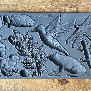 Può includere: Stampo in silicone grigio con impressioni in rilievo di vari animali e piante di stagno, tra cui un colibrì, una libellula, una rana, una tartaruga, una lumaca, una felce e una coccinella. Lo stampo è etichettato "DEWDROP POND IOD".