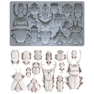 LIVRAISON GRATUITE - Moule décoratif spécimens 6 x 10&quot; par Iron Orchid Designs (IOD)