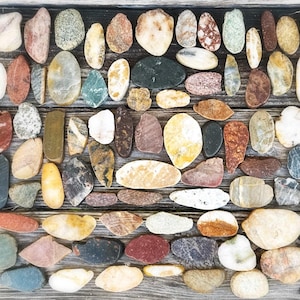 May include: A selection of smooth, multi-coloured stones in diverse shapes and sizes, arranged on a weathered wooden surface. The stones exhibit a range of hues, including pink, grey, brown, and yellow. The arrangement is natural, suggesting a craft or decorative theme.