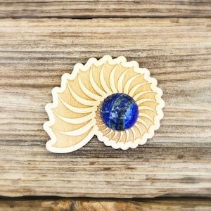 Nautilus sphere stands, ammonite sphere stands, sphere stands, wood sphere stands, wholesale sphere stands