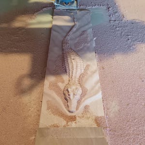 Jono added a photo of their purchase
