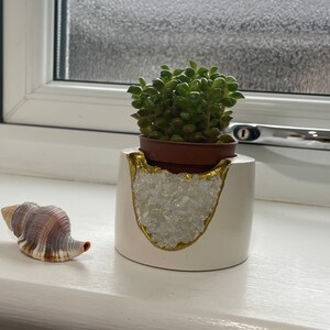 Lindsey added a photo of their purchase