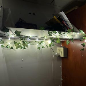 lisa added a photo of their purchase