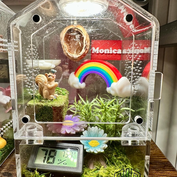 3D Universal Treehouse Insert for Jumping Spiders and Invertebrate ...