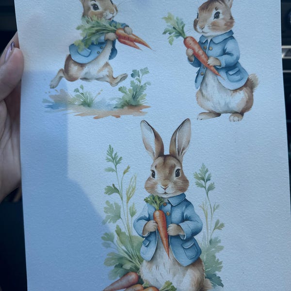 12 Peter Rabbit & Carrot Clipart, Beatrix Potter Style, Spring DIY, JPG ...