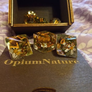 Molly added a photo of their purchase
