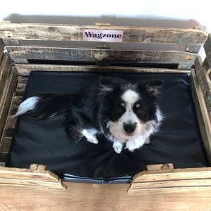 Janice added a photo of their purchase