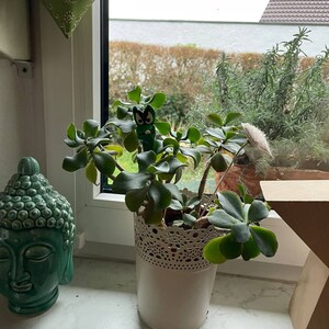 Stefanie added a photo of their purchase
