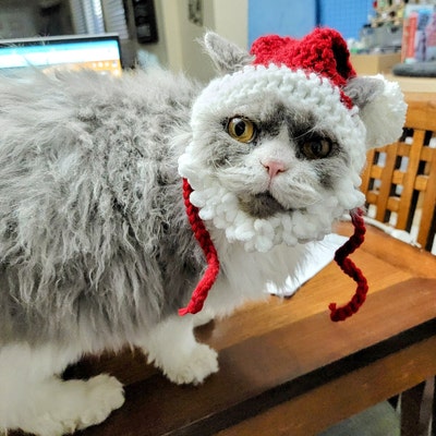 Bearded Santa Hat for Cats, Holiday Cat Santa Hat With Soft Fluffy ...