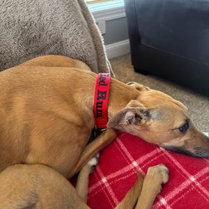 Roxy added a photo of their purchase