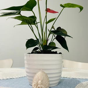 Ana added a photo of their purchase