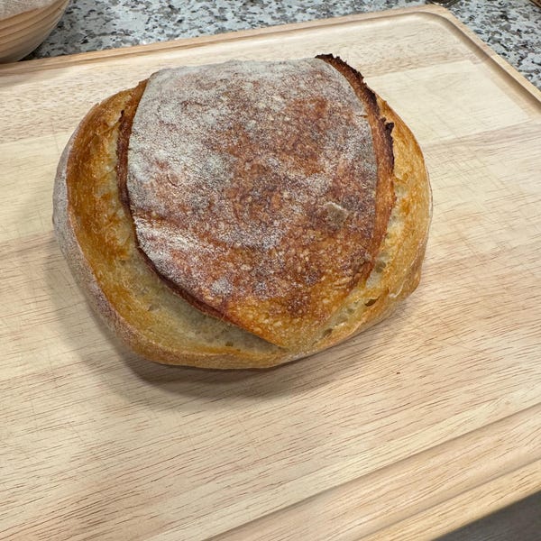 Hybrid rye sourdough bread recipe works well
