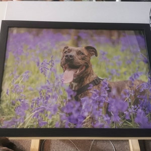 amie added a photo of their purchase