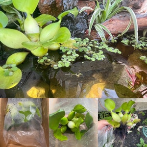 Peggy added a photo of their purchase