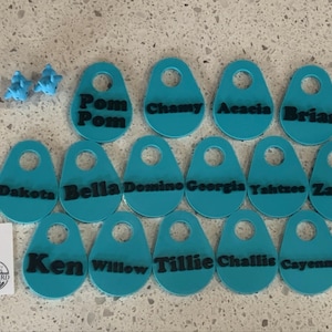 Targhette Portanome Trasparenti 30 Pezzi – 90x60 Mm, Con Clip E Spilla Per Abiti E Badge