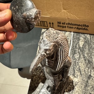Manuel added a photo of their purchase