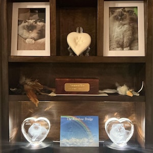 Michael added a photo of their purchase