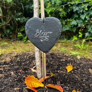 Faye added a photo of their purchase