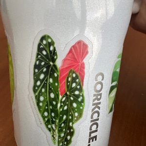 Erika added a photo of their purchase