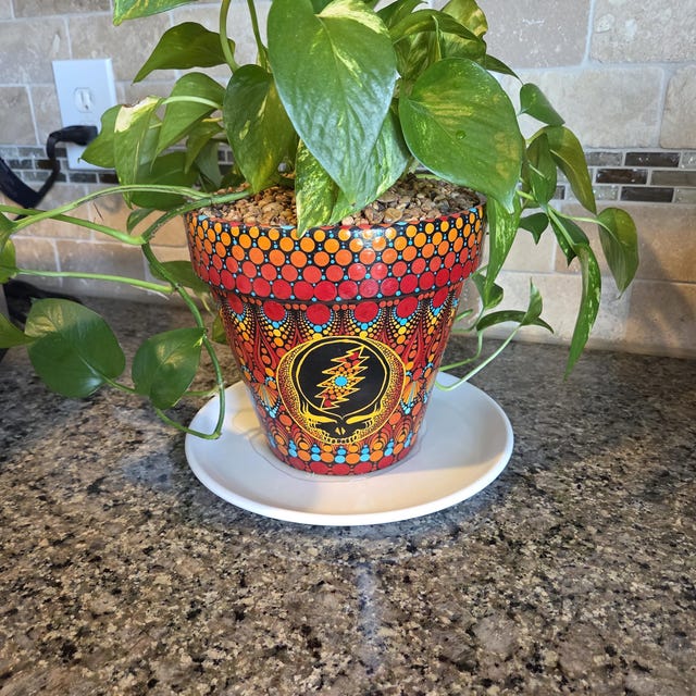 Hand Painted Stealie Flower Pot - Etsy