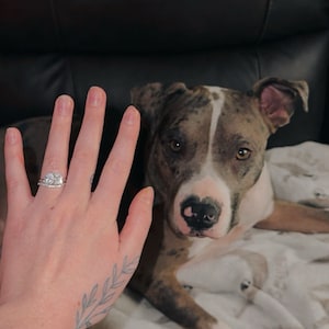 Frankie added a photo of their purchase