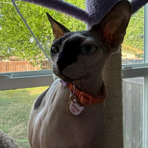 Cass added a photo of their purchase