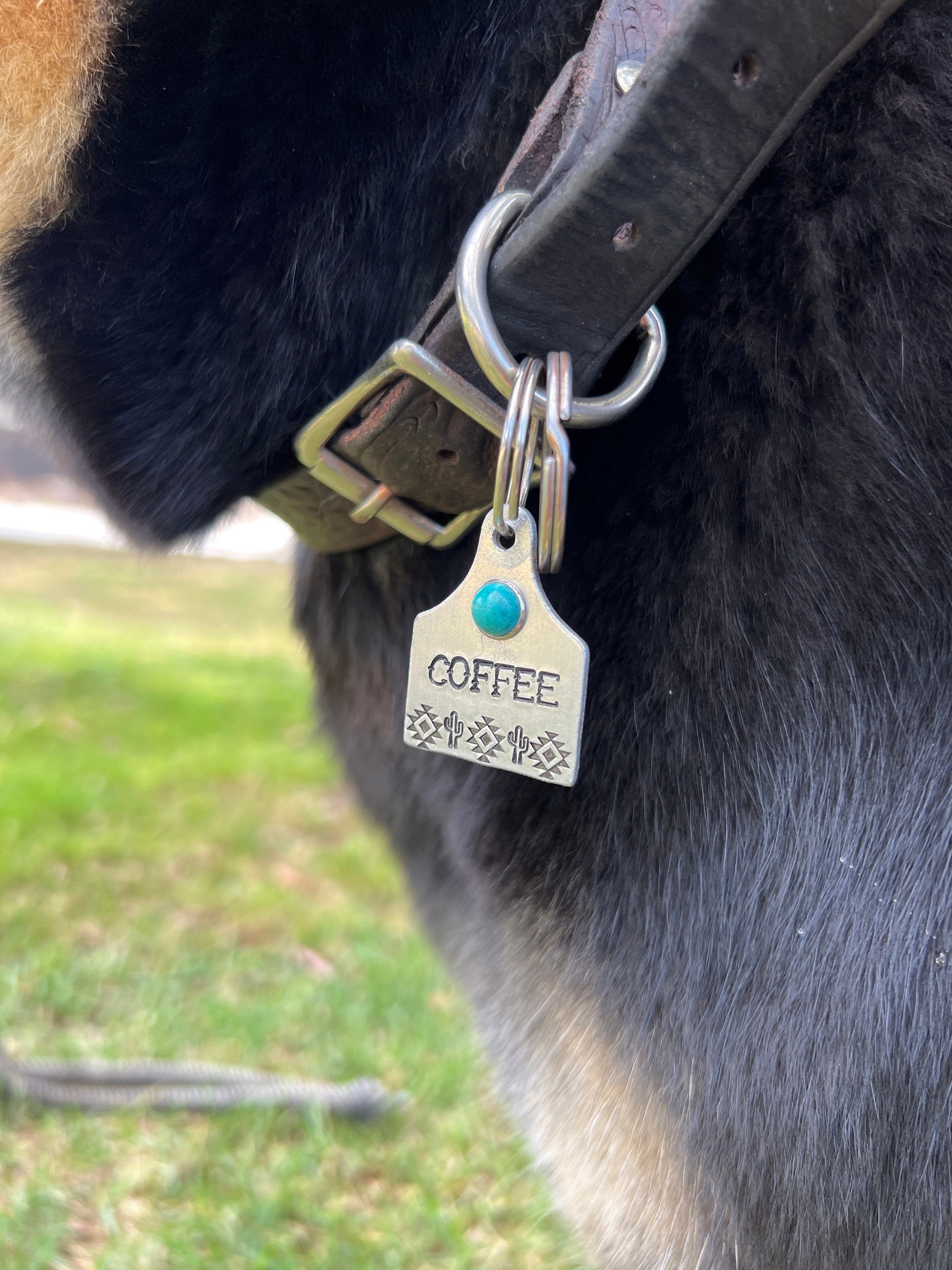 Custom Pet ID Tag with Turquoise, Southwestern Aztec Cactus Cattle Ear Tag, Country Western Farm Dog