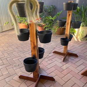 Jenni added a photo of their purchase