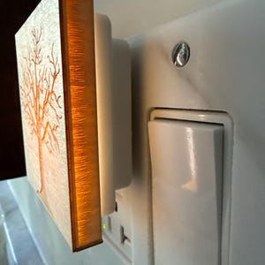 Gretchen さんが購入した商品の写真を追加しました