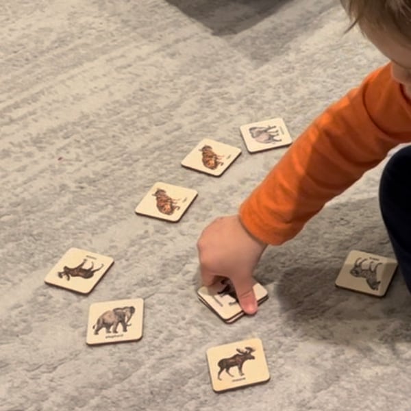 Montessori Wooden Safari Animals Matching Cards/ Bilingual French Wood ...