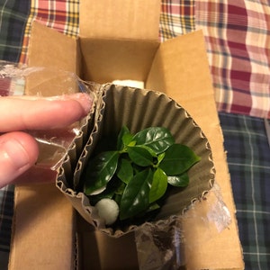 Sarah added a photo of their purchase