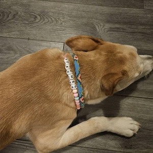Marla added a photo of their purchase