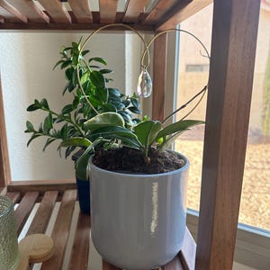 Tawney added a photo of their purchase