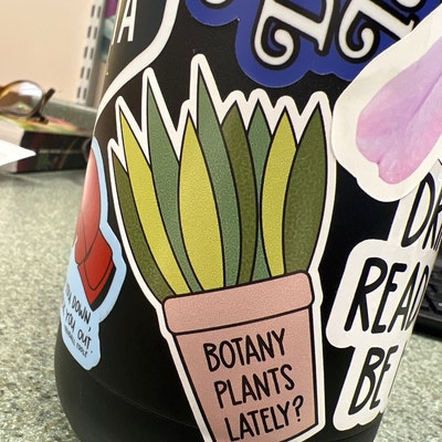 I Love Math and Cats Sticker Math Laptop Stickers Math Water - Etsy