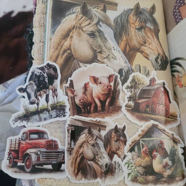 Canva Editable Mini Book Template Canva Mini Book File Editable