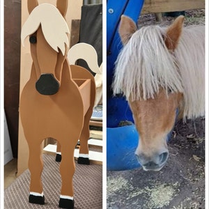 Coral added a photo of their purchase