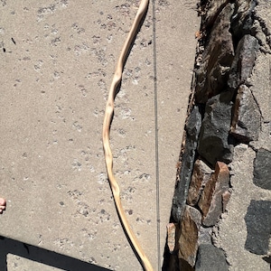 Myles added a photo of their purchase