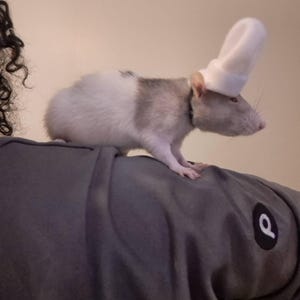 Destiny added a photo of their purchase
