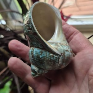 Mary added a photo of their purchase