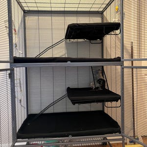 Lisa added a photo of their purchase