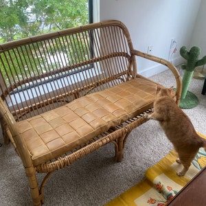 Haley added a photo of their purchase