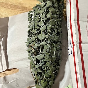 M added a photo of their purchase