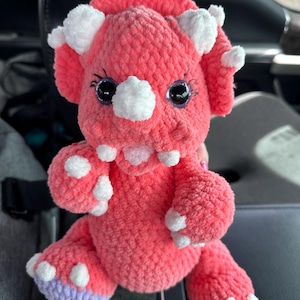 Ashley added a photo of their purchase