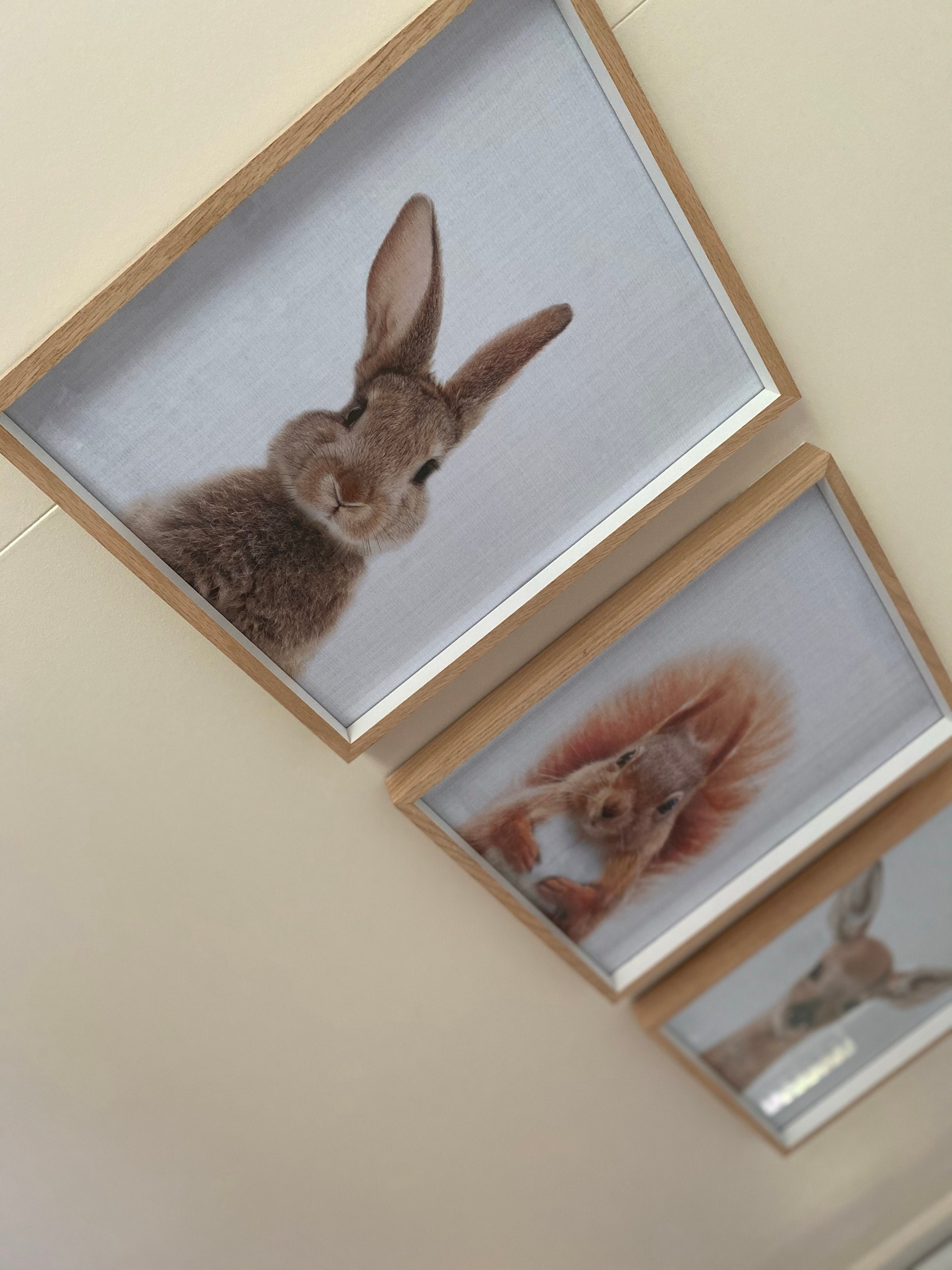 Bunny Rabbit Print Digital Download Bunny Rabbit Print Digital Download