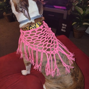 mair added a photo of their purchase