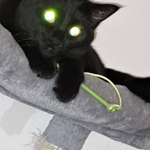 Connie added a photo of their purchase