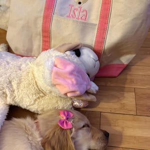 Ysabella added a photo of their purchase
