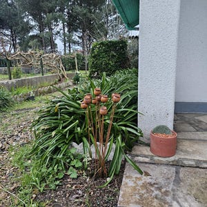 Oleksandra a ajouté une photo de son achat