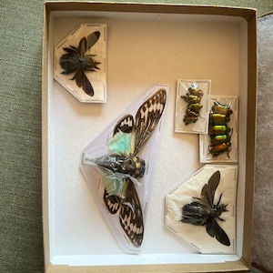Rachel added a photo of their purchase